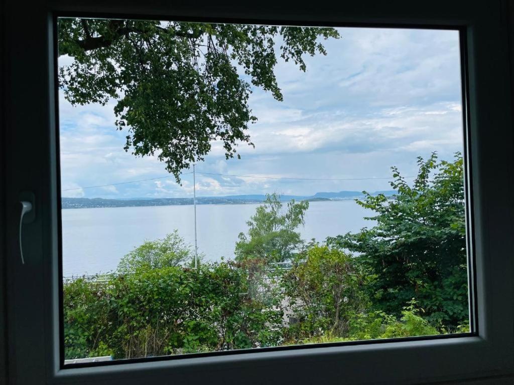 Nice Apartment With1 Bedroom Separate Living Room With A Sofa Bed And A Tiny Kitchen A Bathroom Located In Nordstrand Near By The Sea For 3 Guests With A Garden And Grill 5 Extra Guests With Extra Cost In The Cabin With Sea View Just Outside The Apar Oslo Exteriér fotografie